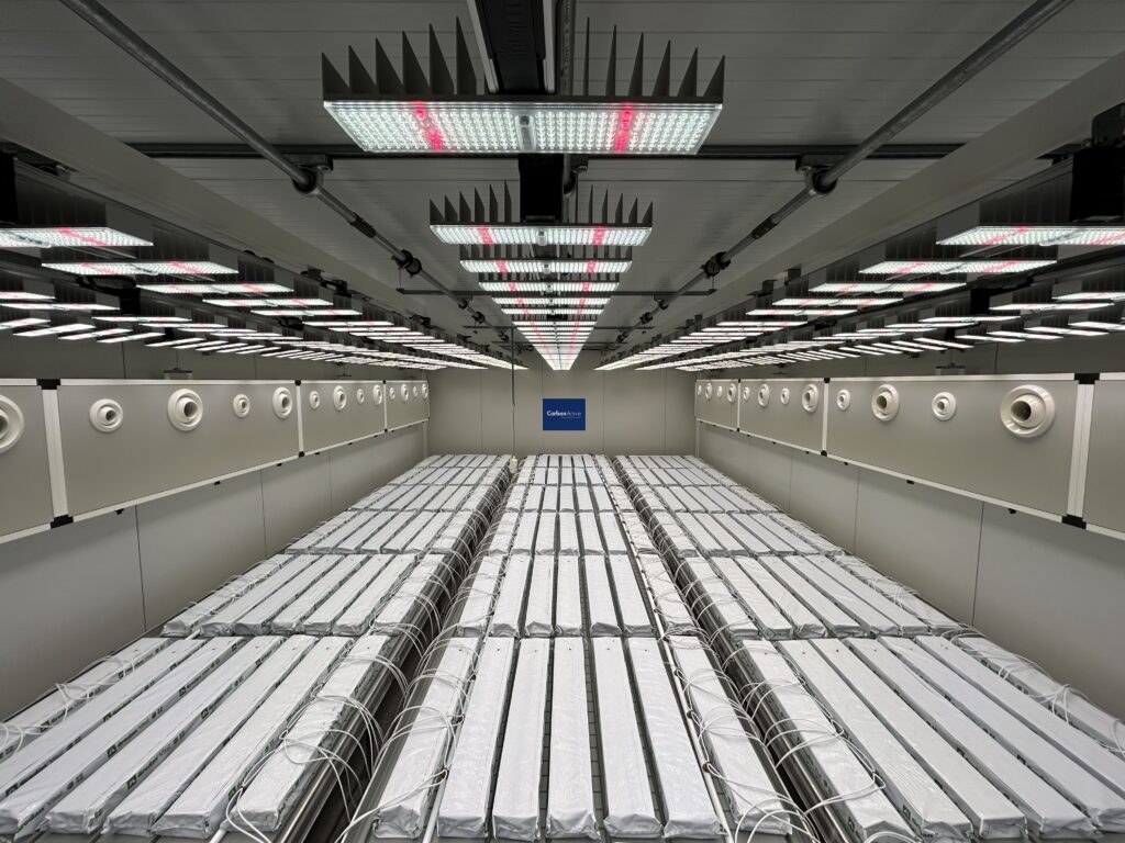 CarbonActive IGC Indoor Growing Compartment. Dargestellt ist das innere eines Indoor Grow Raums mit Tischen, Bewässerung, Belüftung und Lampen und Steinwoll Slabs